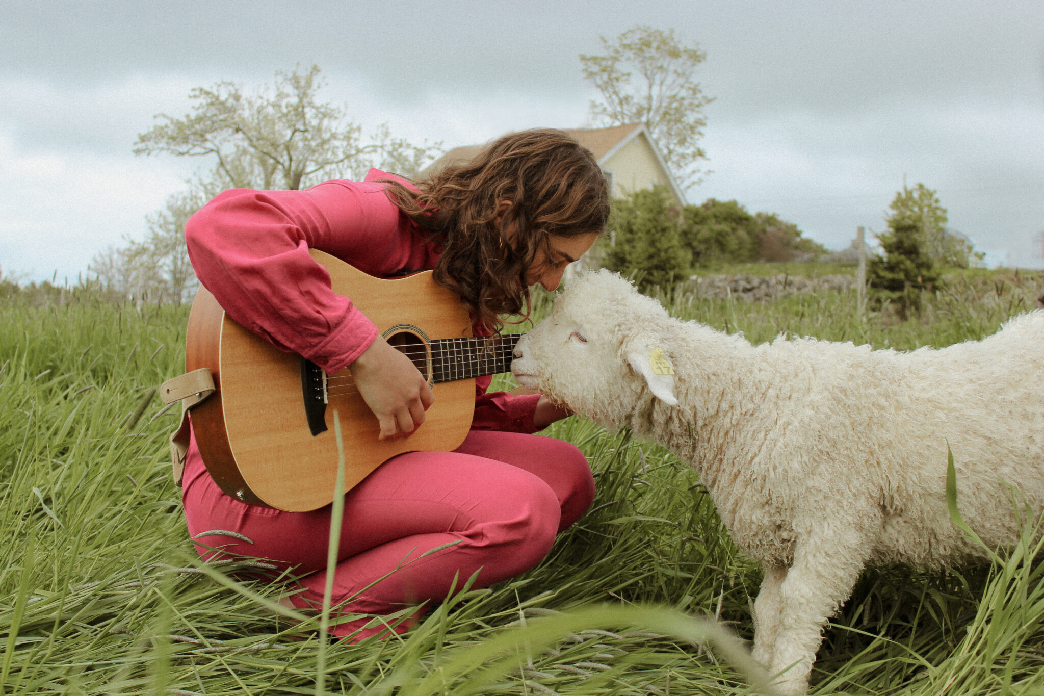 Sophia Eliana promo shot featuring her guitar and a sheep