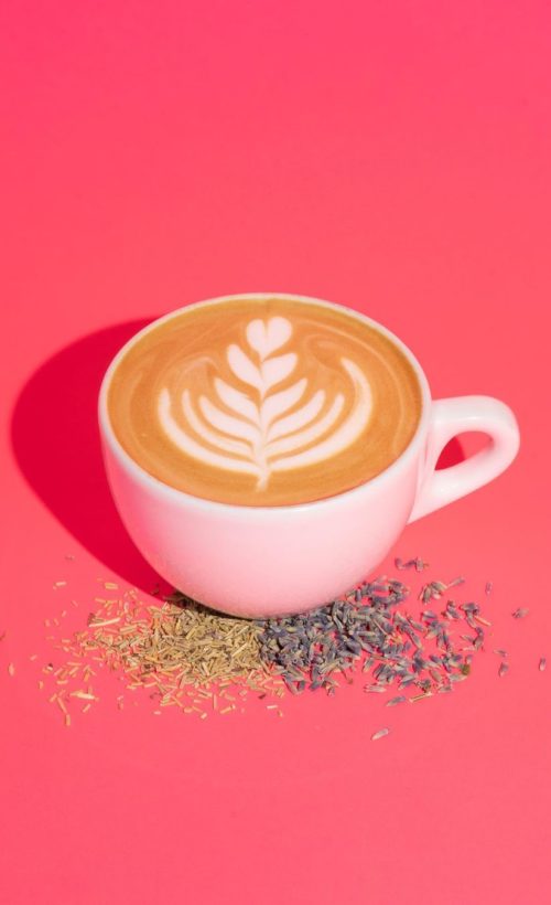 latte on pink background