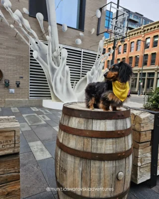 The countdown is on — Bourbon Boulevard takes over Dairy Block THIS Saturday!⁠⁠Celebrate National Bourbon Heritage Month with 30+ whiskey brands, sample pours, live music, and the exclusive debut of @SevenGrandDenver’s new single barrel pick! From seasoned connoisseurs to first-time sippers, this is Denver’s ultimate bourbon night.⁠⁠𝗧𝗶𝗰𝗸𝗲𝘁𝘀 𝗮𝗿𝗲 𝗮𝗹𝗺𝗼𝘀𝘁 𝗴𝗼𝗻𝗲, 𝘀𝗲𝗰𝘂𝗿𝗲 𝘆𝗼𝘂𝗿𝘀 𝗻𝗼𝘄 𝗯𝗲𝗳𝗼𝗿𝗲 𝘁𝗵𝗲𝘆 𝗱𝗶𝘀𝗮𝗽𝗽𝗲𝗮𝗿. 𝗖𝗼𝗺𝗺𝗲𝗻𝘁 "𝗩𝗜𝗣" 𝗳𝗼𝗿 𝘁𝗵𝗲 𝘂𝗹𝘁𝗶𝗺𝗮𝘁𝗲 𝗯𝗼𝘂𝗿𝗯𝗼𝗻 𝗲𝘅𝗽𝗲𝗿𝗶𝗲𝗻𝗰𝗲! 👀⁠⁠📌 Saturday, September 27 | The Alley⁠VIP Access: 5–6 PM⁠GA Entry: 6–9 PM