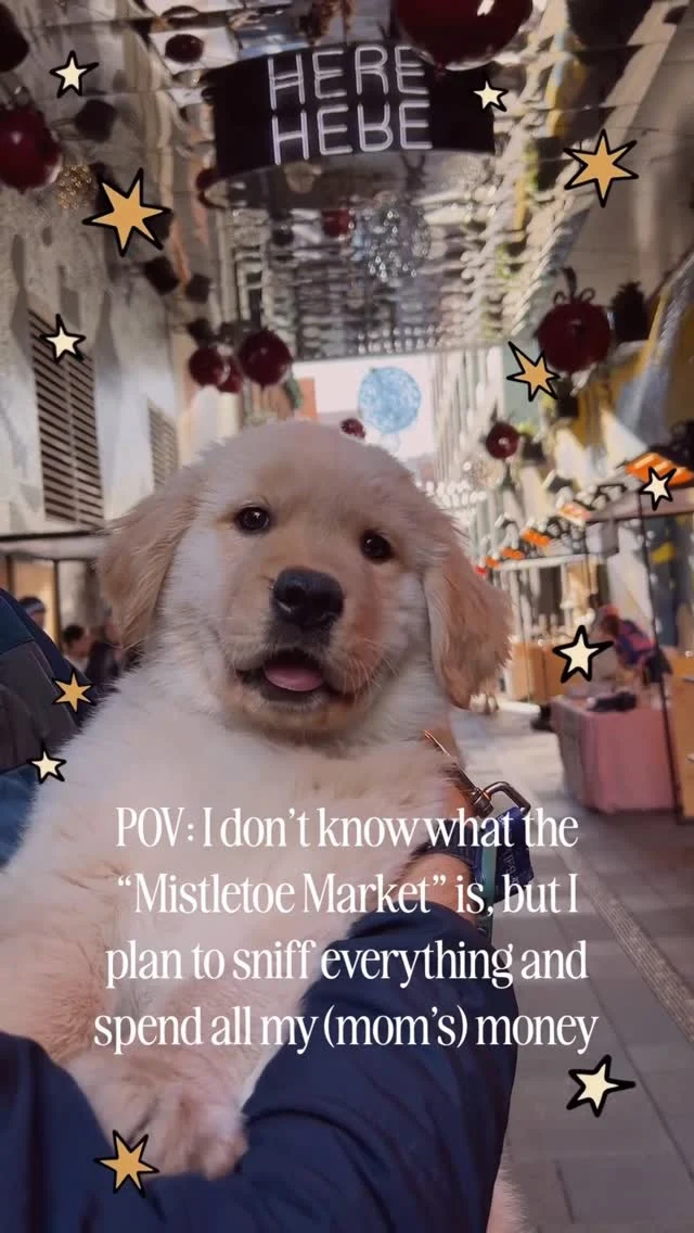 “Mom said we need to ‘shop local’ and now I’m emotionally attached to a handmade ornament and a vendor named Carol.” - @BluebellTheGoldenGirl 🐾⁠⁠If that’s not the spirit of the season, we don’t know what is. Join us for Mistletoe Market, two weekends of immersive holiday shopping, one-of-a-kind gifts, and festive family fun at Dairy Block!⁠⁠In partnership with @FiresideAtFive, Dairy Block transforms into a walkable winter market filled with live carolers, seasonal decor, and over 40+ local vendors offering home goods, art, apparel, packaged treats, vintage finds, pet gifts & more.⁠⁠🎨 Plus: wreath-making, cookie decorating, festive crafts, kid-friendly brunches, and holiday cake pop-ups, all steps away from cozy sips and bites from your favorite Dairy Block spots!⁠ 🐾 We're also partnering with @milehighcaninerescue who is helping The Mean One's heart grow three sizes with puppy love this holiday season. Stop by their booth next to Crumpit Cave to visit their adoptable "Max".⁠🎄 December 13–14 & 20–21 | 12–7 PM⁠📍 Dairy Block Alley & Blake Street⁠⁠𝗖𝗼𝗺𝗺𝗲𝗻𝘁 “𝗛𝗼𝗹𝗶𝗱𝗮𝘆” 𝗳𝗼𝗿 𝘁𝗵𝗲 𝗳𝘂𝗹𝗹 𝘃𝗲𝗻𝗱𝗼𝗿 𝗹𝗶𝗻𝗲𝘂𝗽 + 𝗮𝗰𝘁𝗶𝘃𝗶𝘁𝗶𝗲𝘀!